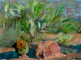 Stone and Barrel Cactus, Arizona